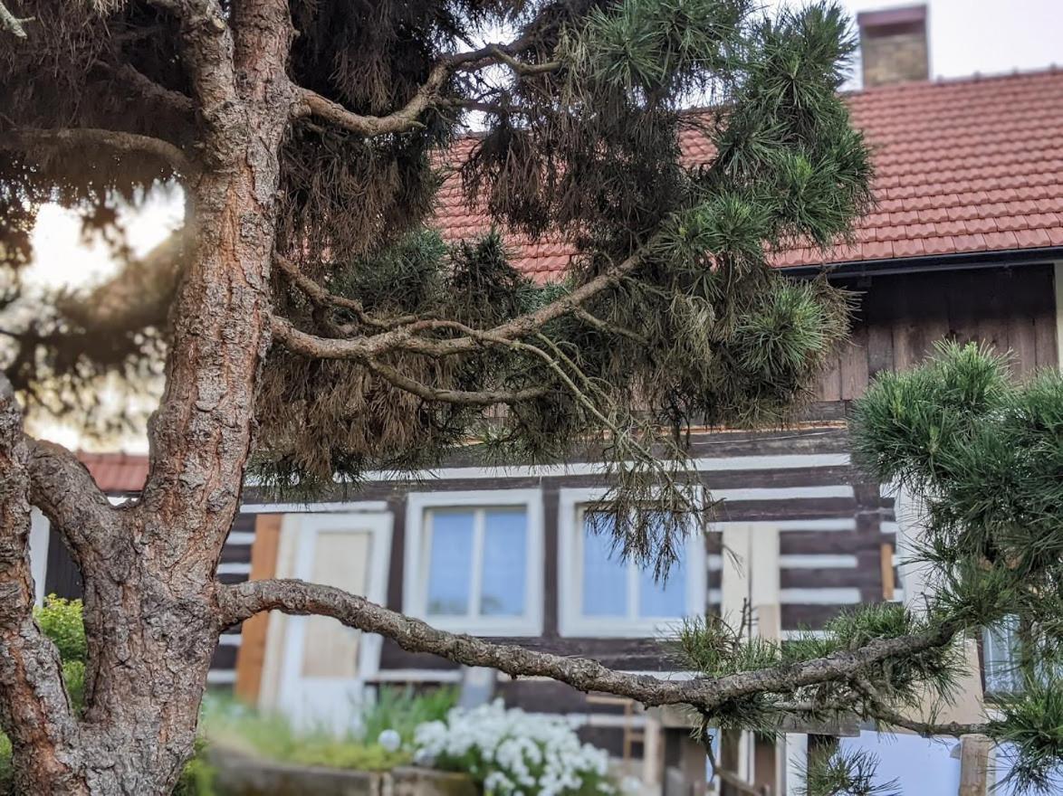 Chalupa U Rybnika Strehom Dolní Bousov Exterior foto
