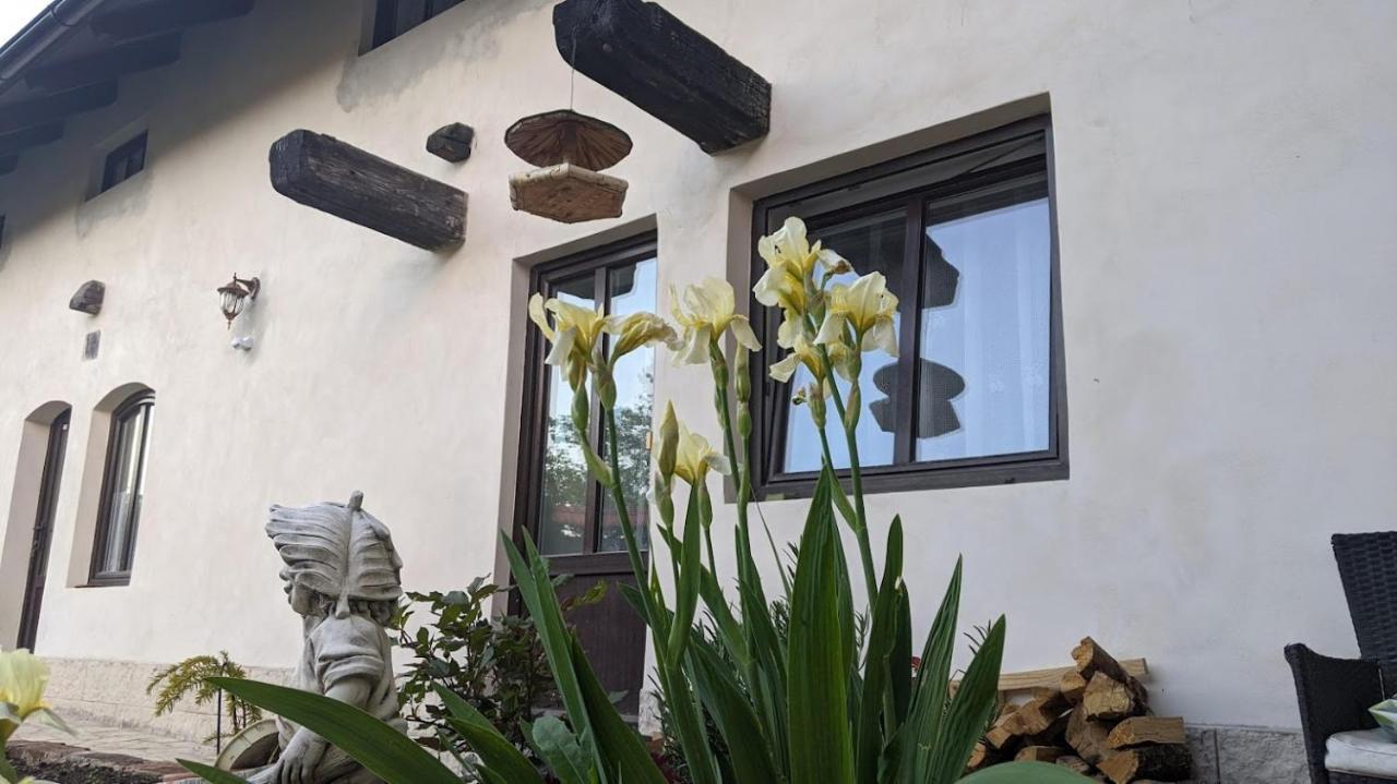 Chalupa U Rybnika Strehom Dolní Bousov Exterior foto